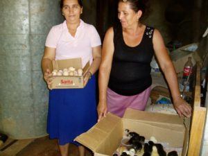 Two women holding carboard boxes with baby chicks in them.